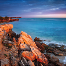 Load image into Gallery viewer, 10 Mil Professional Luster Photo Paper 42 x 100 (3 inch core)