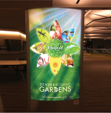 Load image into Gallery viewer, 8 Mil Satin Backlit Polyester Film 54 x 100 (3 inch core)