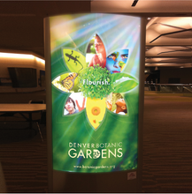 Load image into Gallery viewer, 8 Mil Satin Backlit Polyester Film 54 x 100 (3 inch core)
