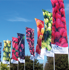 9 Mil Heavy Duty Matte Fabric 36 x 150 (3 inch core) 9 Mil Heavy Duty Matte Fabric 36 x 150 (3 inch core)