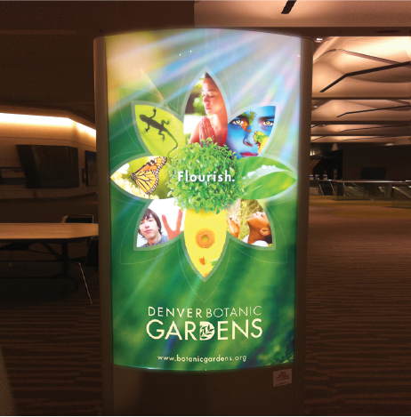 Backlit film graphic in a lightbox