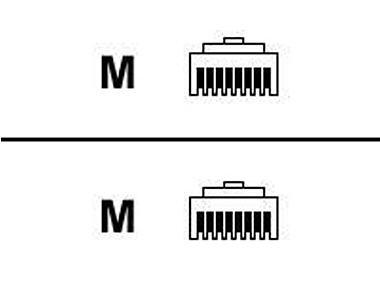 C7536a CAT 5e Cable 14 ft RJ45 M/M | C7536A | Large Format Supplies