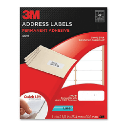 2 x 4 White Laser Address Labels